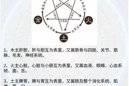 木命与属相不合的知与行——探讨相生相克的智慧