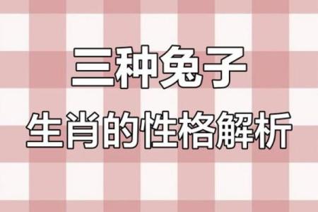 探寻2823年兔年命理：运势与性格的完美契合