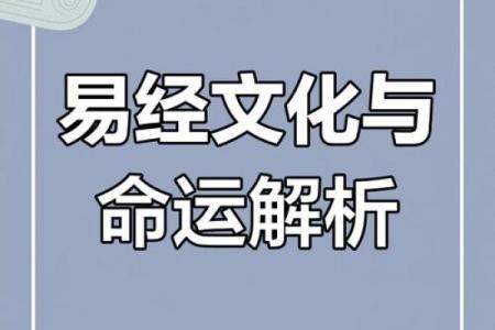 智慧命长久：探寻生肖中的智慧与命理关系