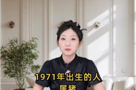1971年猪年命运解析：探索1971年出生的猪如何迎接人生机遇与挑战