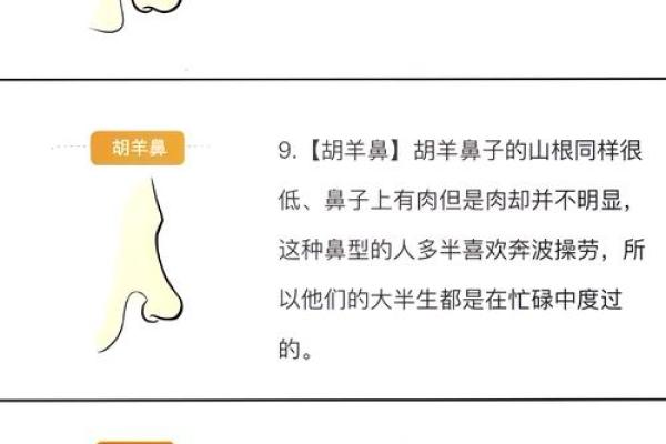 人中线较长的人命运与性格的秘密探究