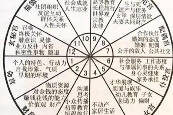 四五年属什么，解密不同命格的生活与智慧