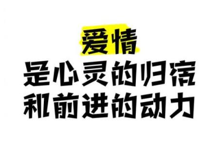 命情话的艺术：在爱情中如何运用命理的智慧
