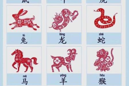 牛马命格与生肖的关系探秘：你的命运是什么？