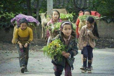 2000年正月十九，那一天的命运与故事