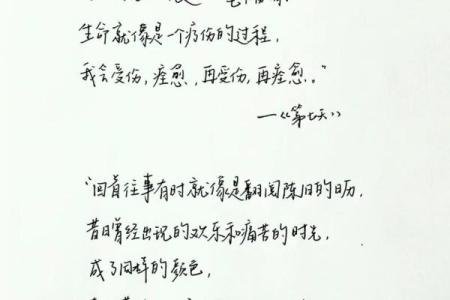 命满的含义与生活中的启示：探索生命的深刻哲理