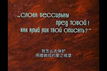 探索石榴木命的色彩之道：为生命增添光彩的神秘力量