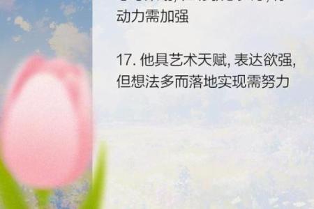 1978年12月出生者的命运与人生探索