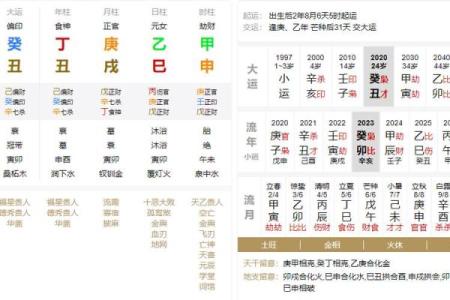 1997年出生者的命理分析与喜好探讨