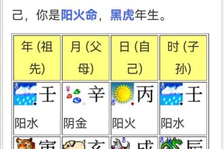 2022年虎年宝宝的命理解析与命运展望