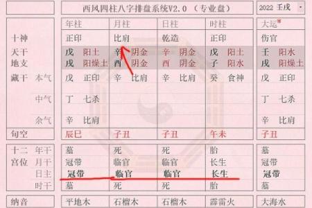 丑时出生的命运解析：1979年生人如何理解自己的个性与人生轨迹