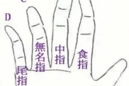 手指中间关节粗大的秘密：揭示命运与性格的奥秘