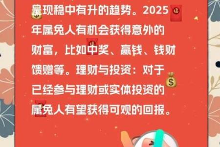 2025兔年命运解析：如何把握机遇，实现人生飞跃！