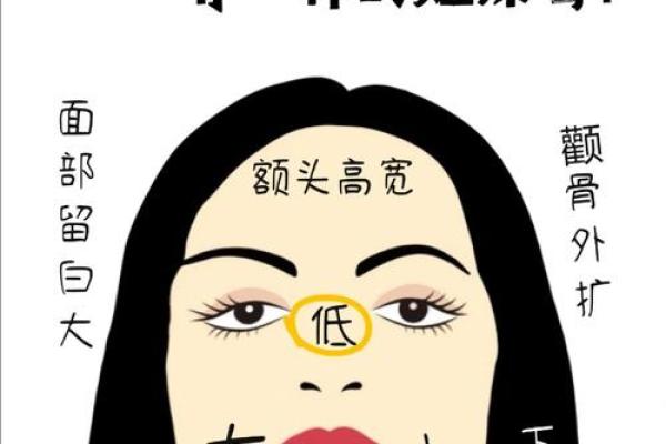 菱形脸女生：命运与性格的奇妙关联