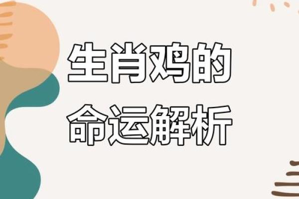 69年金鸡与土命的命理秘密探讨