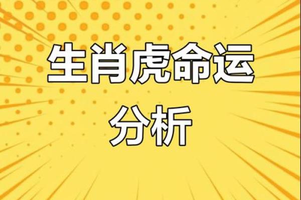 2022年虎年：解密虎年人的命理与性格特征