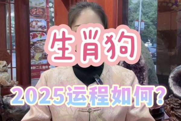 属狗女1982年生的命运与性格解析