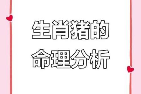 揭秘己巳年出生者的命运特点与运势解析
