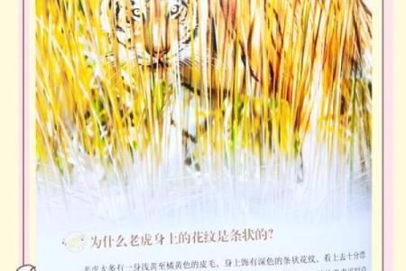 202年的虎是怎样的一种命运和特点？揭示其神秘面纱！