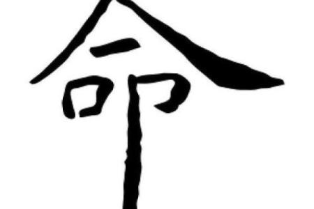 命字的魅力：从命运到命名的深刻探讨