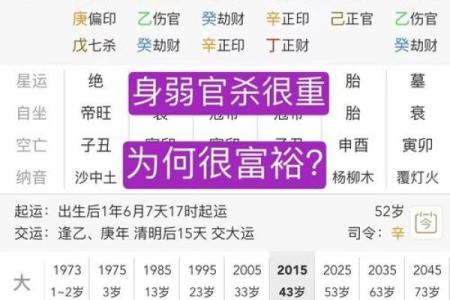 揭秘食神坐地支：如何影响你的命运与生活