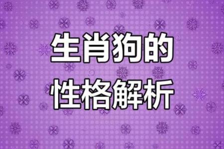 属狗女1982年生的命运与性格解析