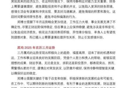 24岁属鸡的命运分析：探索人生的鸡年智慧与机遇
