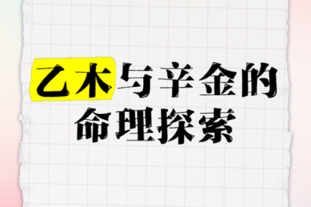 探索命理学：饿水命的品牌选择与生活智慧