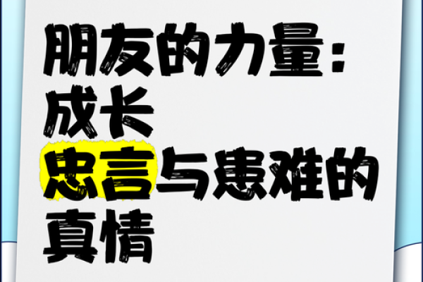 过命兄弟：岁月流转中的真情与担当