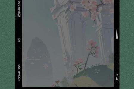 在命运的迷雾中游荡，何去何从？
