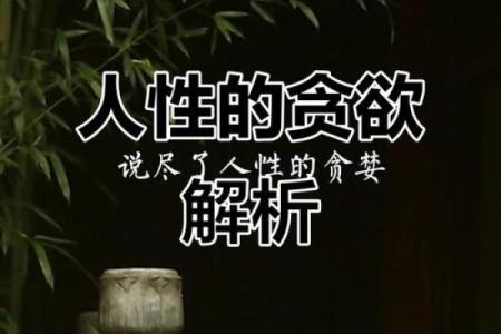 命贪婪：探寻人性深处的欲望与追求