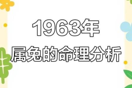 2023年木兔年运势解析：探索兔年下的命理之道与生活智慧
