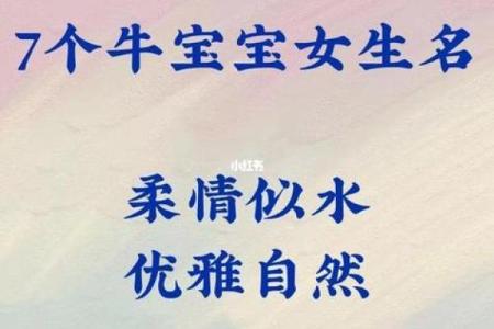 2009牛宝宝命运解析：他们的性格、优势与未来发展