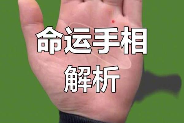 探秘无掌纹手相：揭示命运之谜的奥秘
