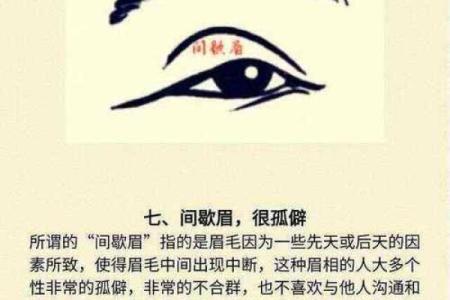 眉毛的形状与命运：从古至今的智慧与科学探讨