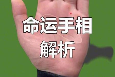 探秘无掌纹手相：揭示命运之谜的奥秘