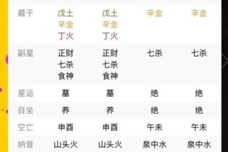 揭开命理之谜：81命与五行之关系分析