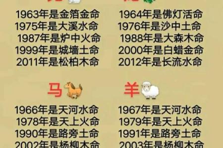 海牛金命的神秘解析与命运探索