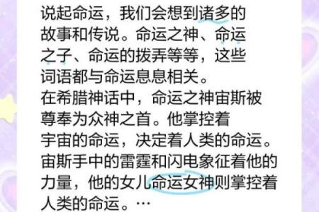 11月14日的命运解析：探索命理背后的神秘力量