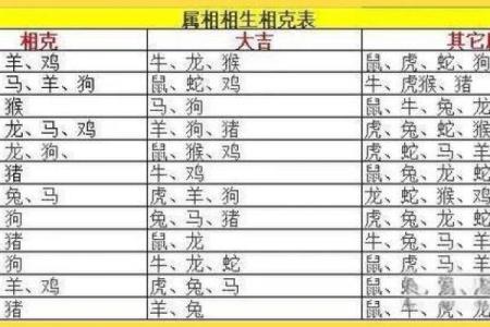 探秘1998年出生的生肖命运与性格特征分析