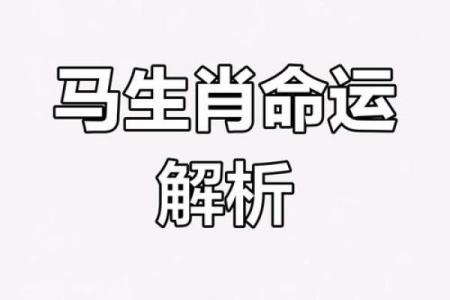如何判断自己的命运与生肖的关系：揭开中国传统命理的神秘面纱