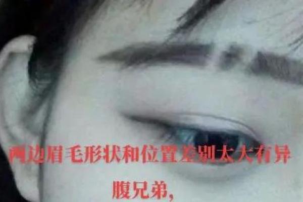 有人有眉毛是什么命？揭秘眉毛与命运的神秘联系！