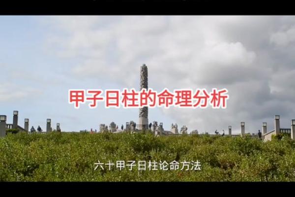 丙子日柱男命解析：身旺命弱的深远影响与应对之道