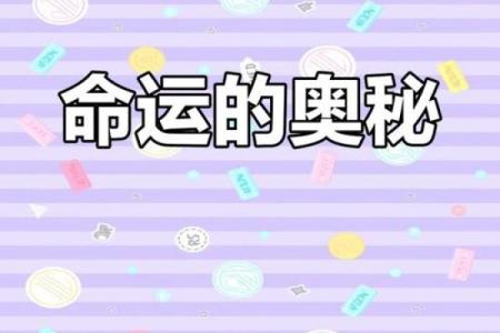 爱情命理学：探索爱的奥秘与命运的交织