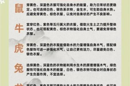 探寻1993年出生者的命运之路：五行与命理解析