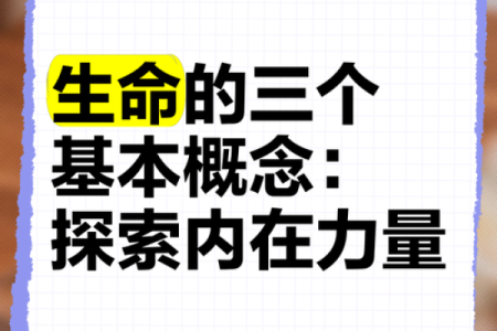 八零年后命运的探索：解密我们的生命密码