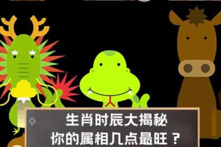 基于属相揭秘：谁是命中注定的先知？