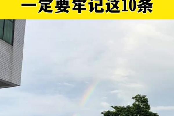 珍贵的120岁：论长寿背后的智慧与命运