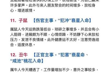66岁属什么生肖与命运的深刻解读：纵观人生的智慧之旅
