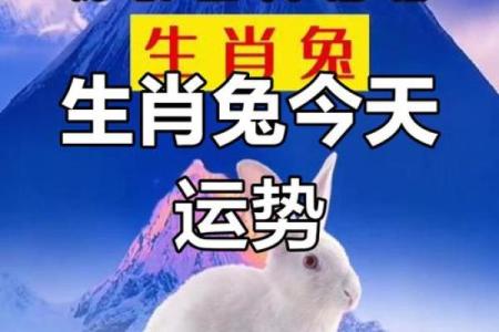 2014年兔命的命运解析：兔年出生人的性格与运势探讨